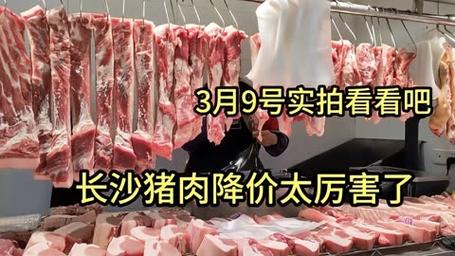 一斤猪肉多少钱